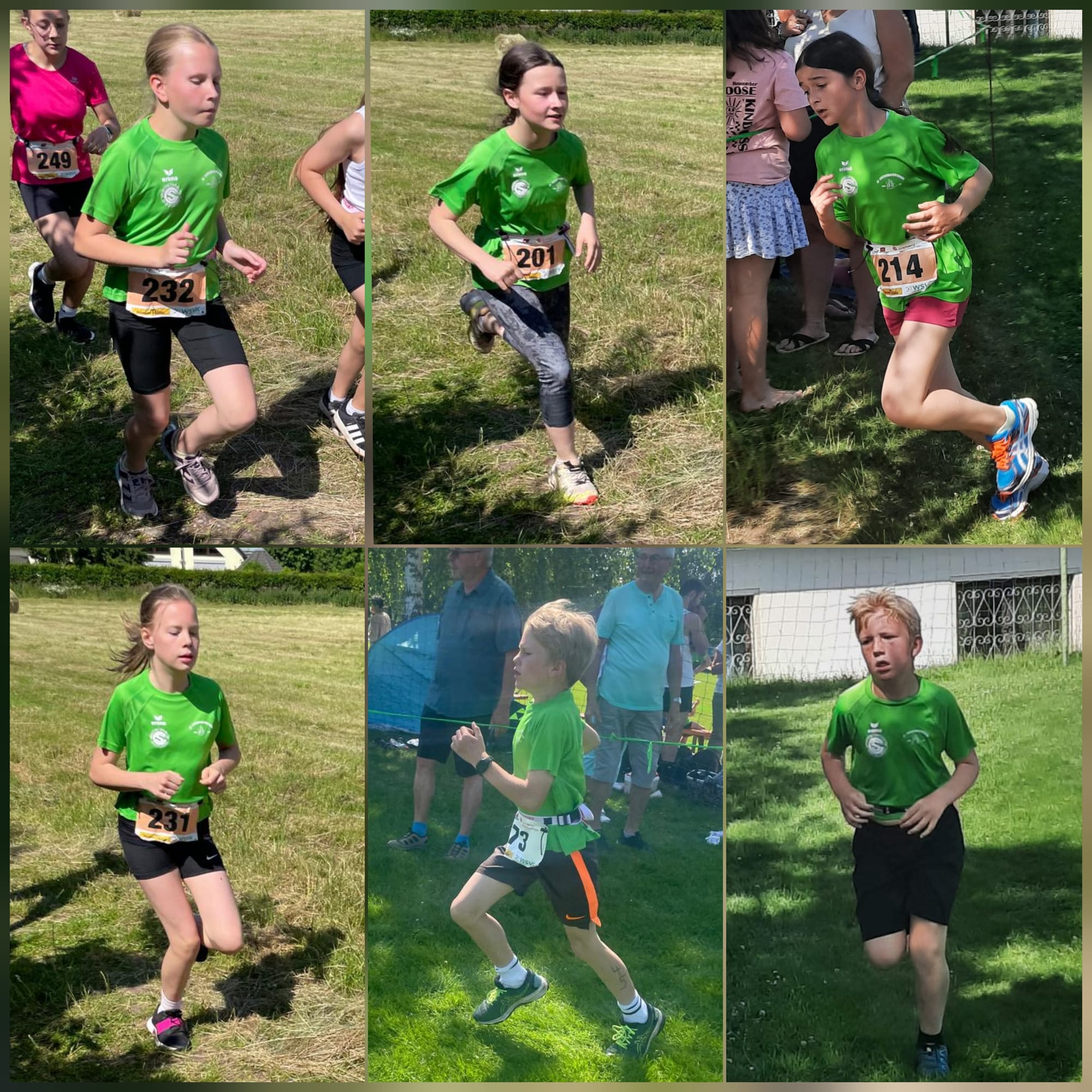 14.06.2025 - Bergcrosslauf in Falkenau