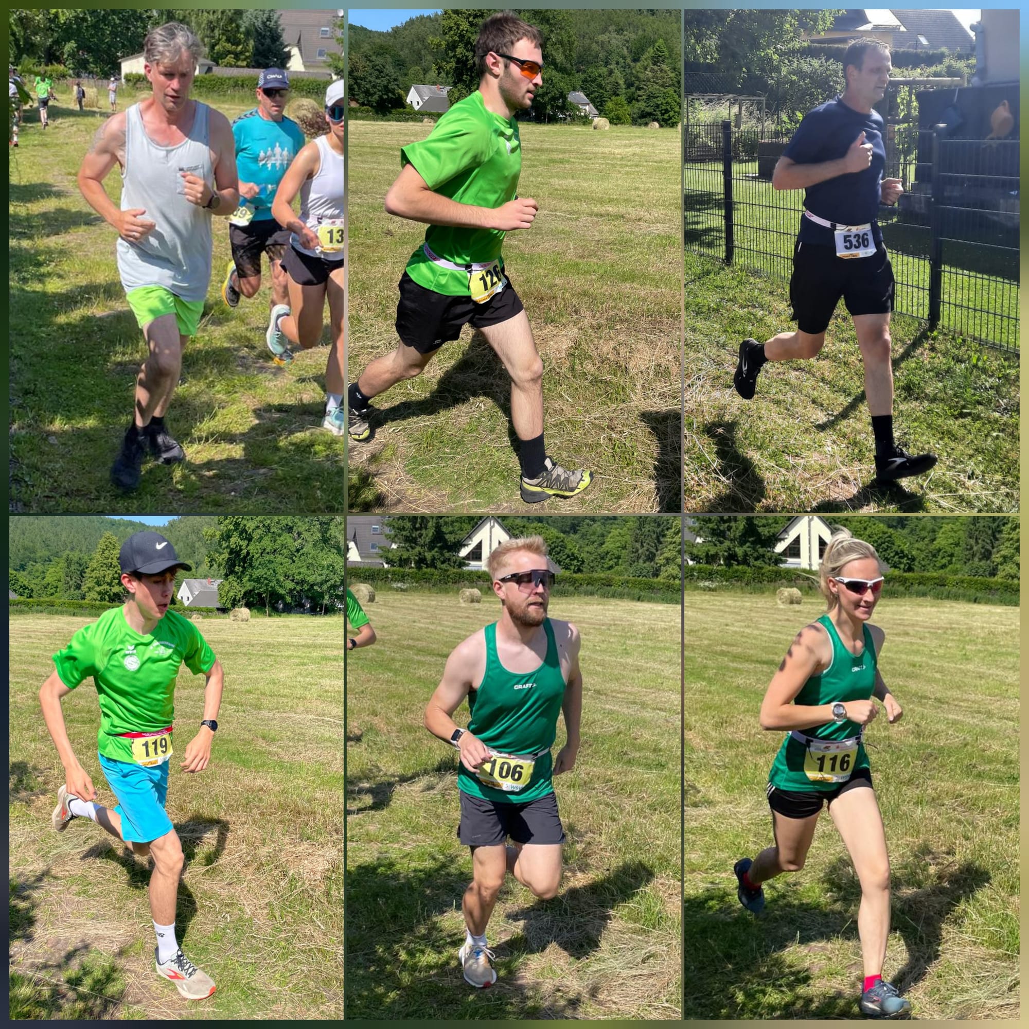 14.06.2025 - Bergcrosslauf in Falkenau