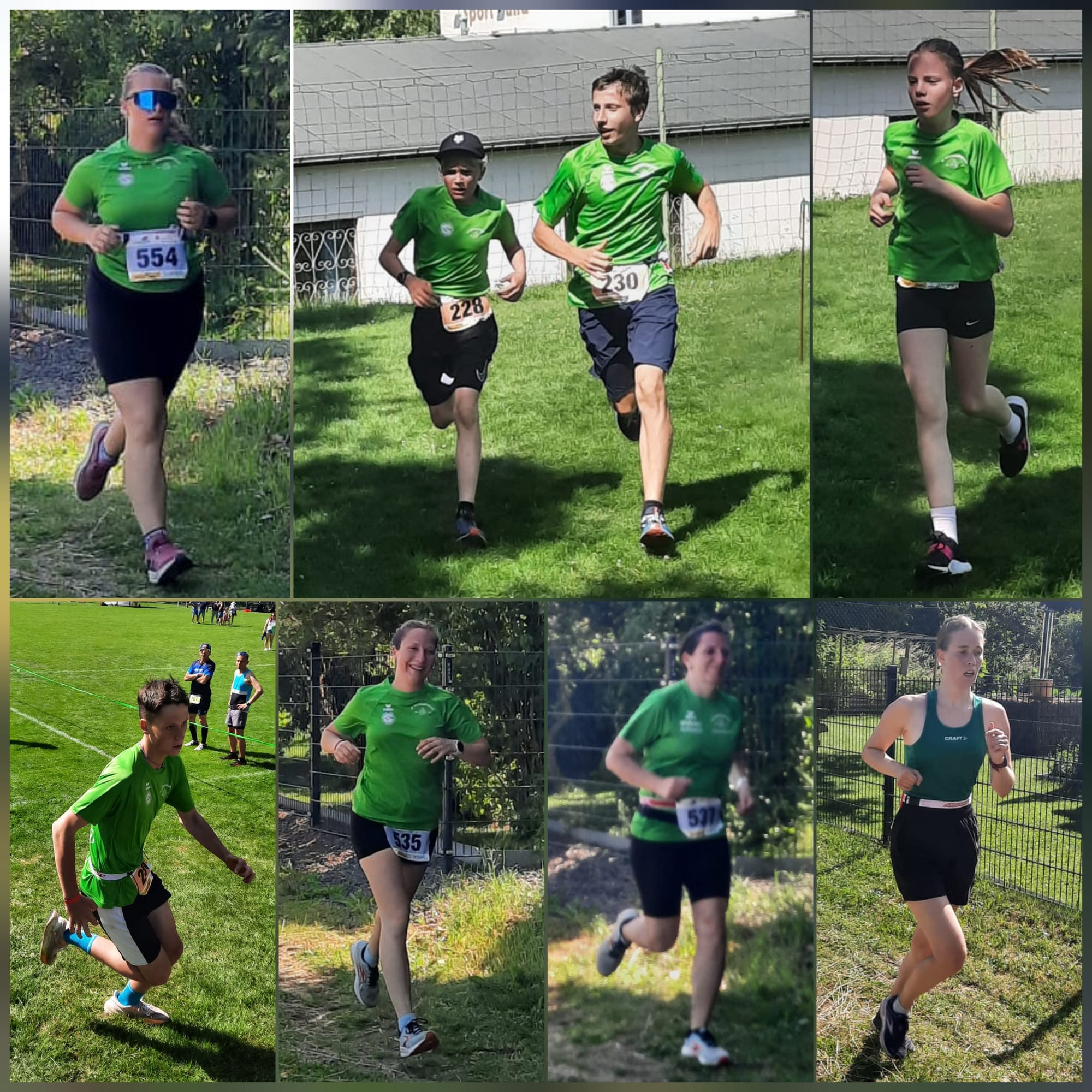 14.06.2025 - Bergcrosslauf in Falkenau
