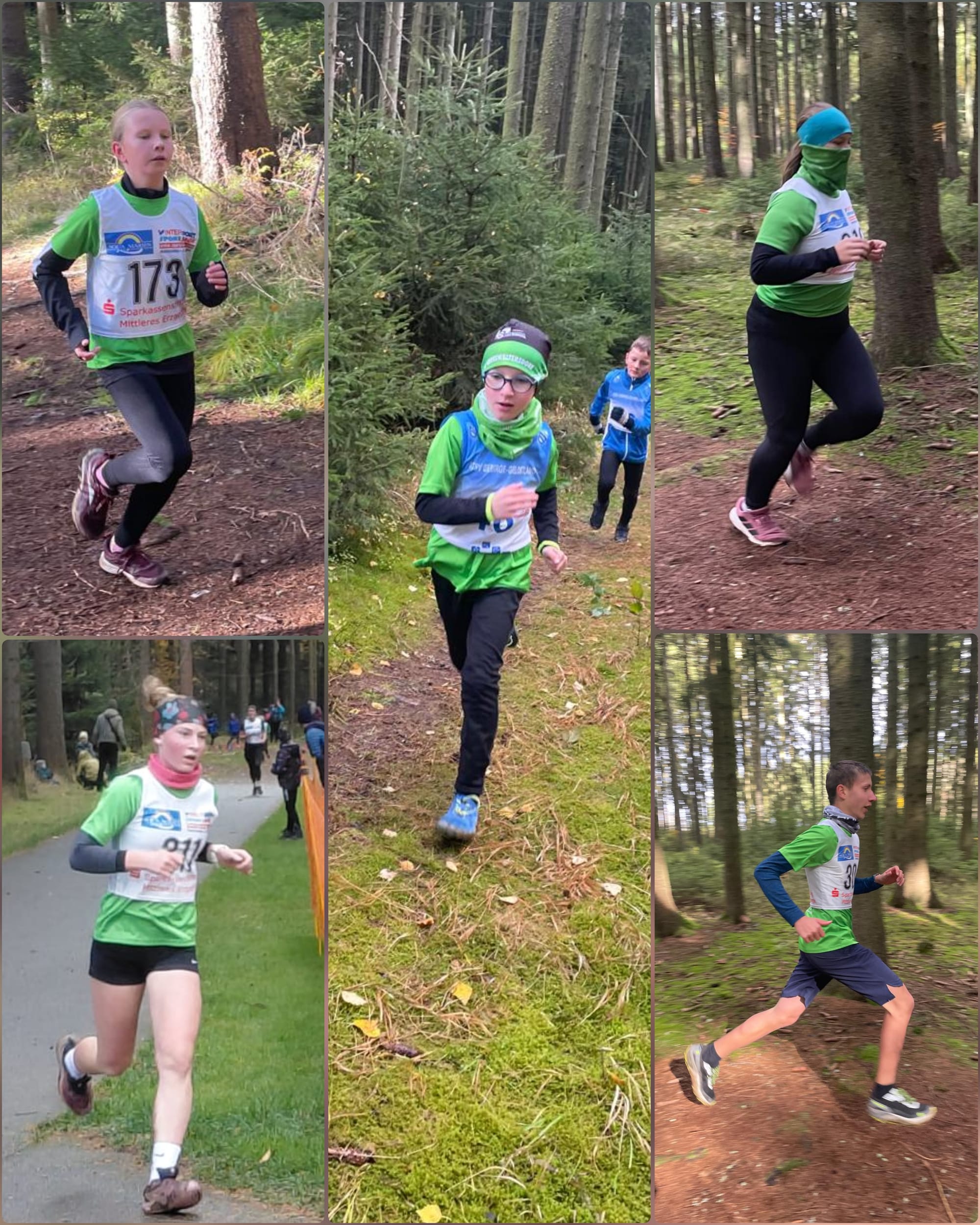 26.10.25. - Wurzellauf Gebirge Gelobtland